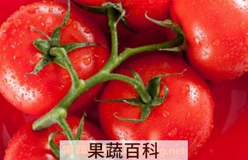 西红柿的妙用窍门