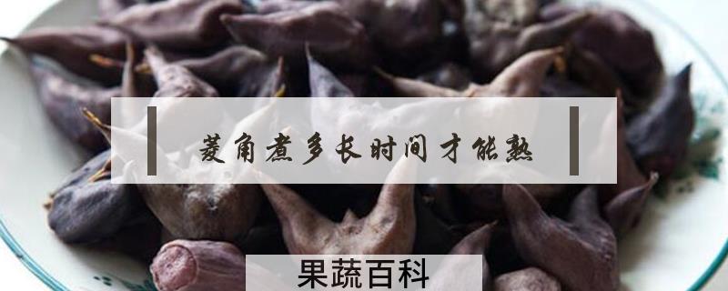 菱角煮多长时间才能熟