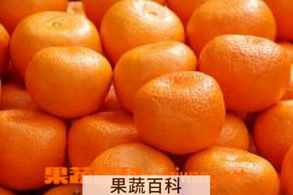 果蔬百科桔子