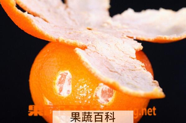 果蔬百科新鲜桔子皮