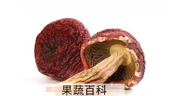 营口红菇