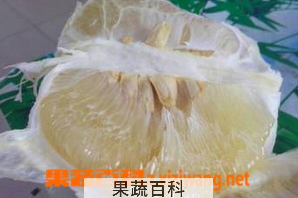 果蔬百科白柚子