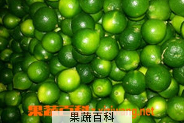 果蔬百科孕妇能吃青桔子吗