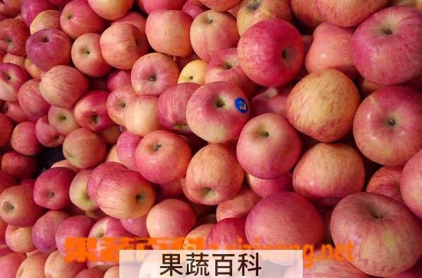 果蔬百科糖尿病人是否能吃苹果