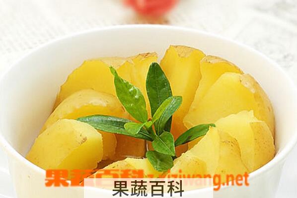 果蔬百科熟苹果