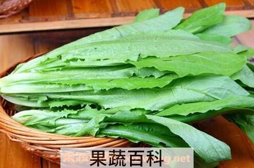 油麦叶的营养价值