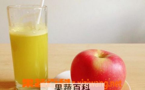 芹菜苹果汁的做法大全 芹菜苹果汁的材料和做法图片
