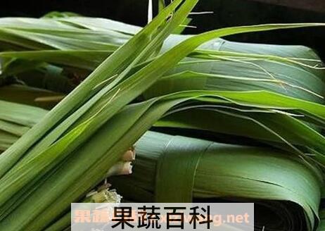 粽叶的营养价值 