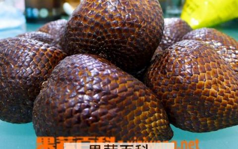 蛇皮果图片大全 蛇皮果的图片和吃法视频