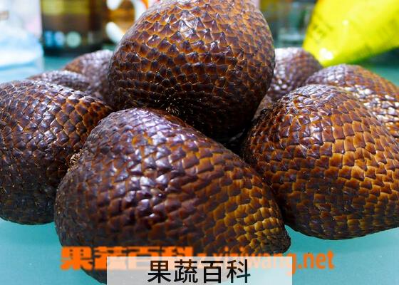 果蔬百科蛇皮果