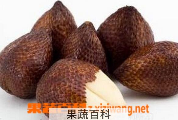 果蔬百科