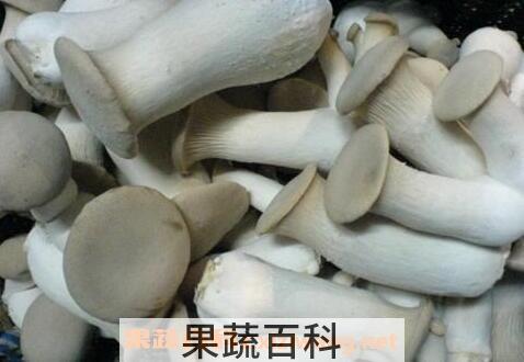鸡腿菇的功效与作用