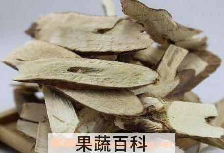 紫苏根的功效与作用及食用方法