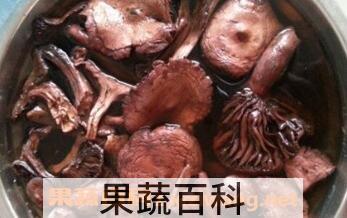肉蘑菇
