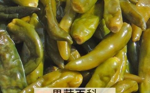 泡椒怎么做怎么腌 泡椒制作的方法泡椒腌制的方法