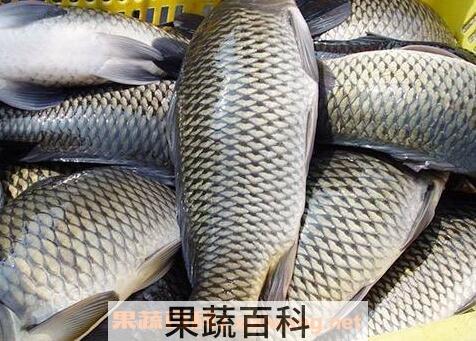 草鱼的营养价值与功效