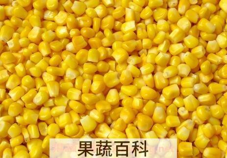 玉米子叶的作用与功效