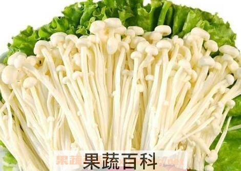 如何清洗金针菇