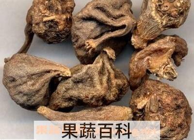 山慈菇