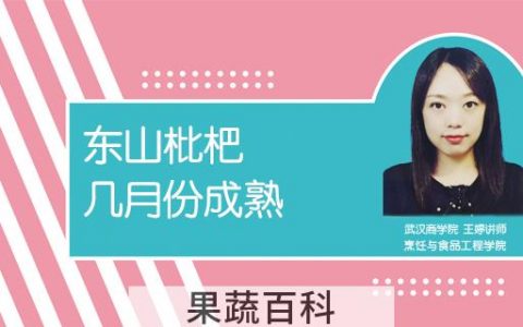 东山枇杷几月份成熟