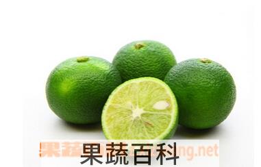 果蔬百科酢橘
