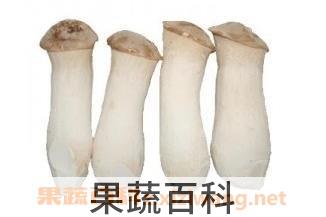 杏鲍菇 
