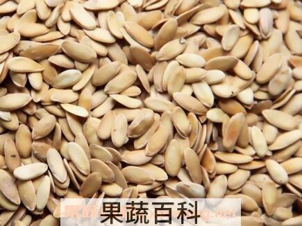 中药黄瓜籽的功效与作用