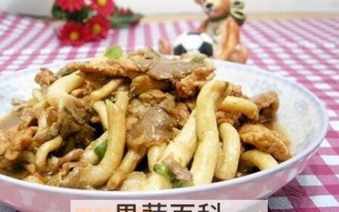 松姬菇图片 松姬菇的功效与作用