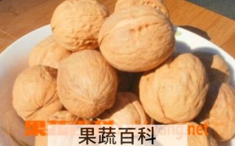 胡桃核桃的功效与作用禁忌 胡桃核桃的功效与作用及禁忌
