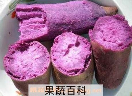 紫薯皮的功效与作用及禁忌症