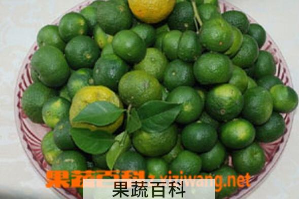 果蔬百科台湾香檬