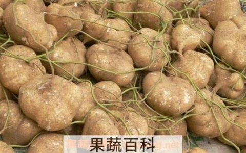 土瓜有什么营养和功效 土瓜的营养价值和功效