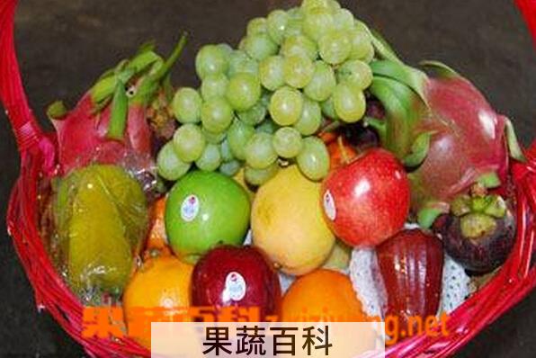 果蔬百科商务水果