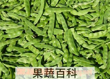 果蔬百科菜豆