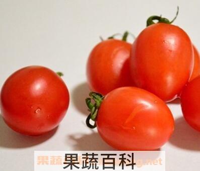 圣女果