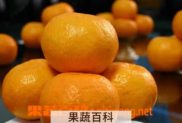 果蔬百科清江椪柑