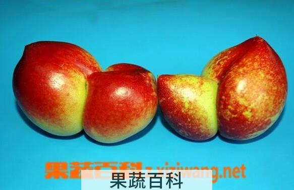 果蔬百科畸形水果