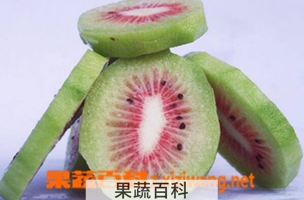 果蔬百科楚红猕猴桃