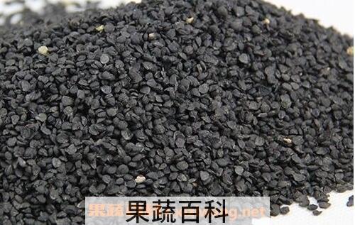 中药韭菜籽的功效与作用及禁忌