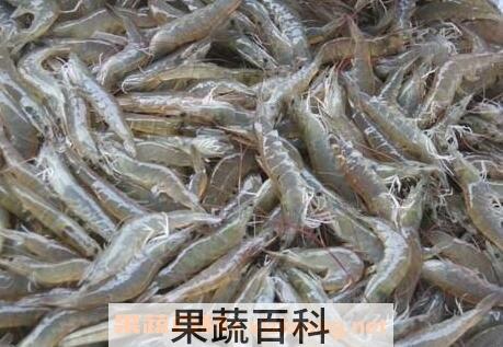 河虾的做法与功效
