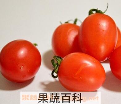 小番茄
