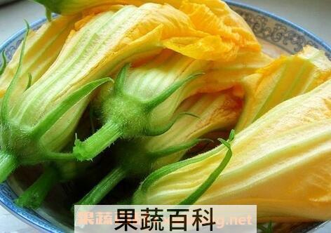 南瓜花的功效