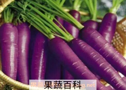 紫萝卜皮的功效与作用及禁忌