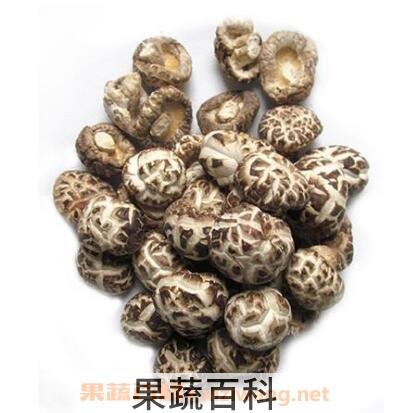 野生大花菇