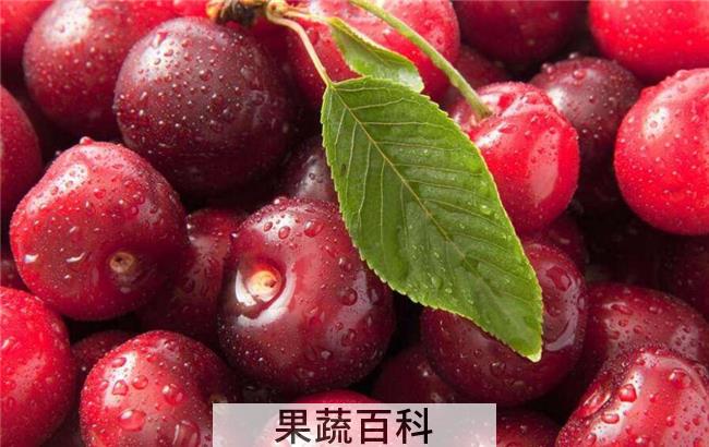 买的樱桃怎么保存，一个保存樱桃的绝招