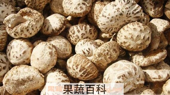 香菇和花菇有什么区别