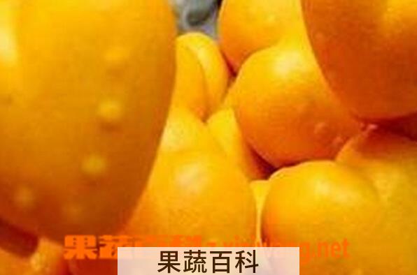 果蔬百科心型桔子