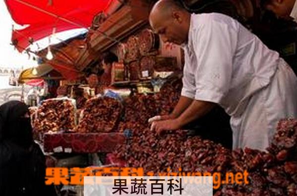 果蔬百科奥巴马椰枣