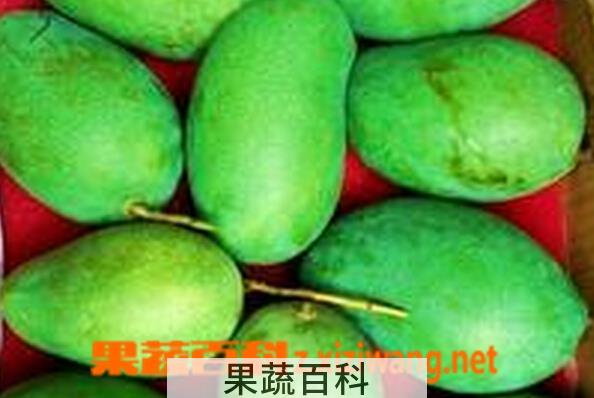 果蔬百科黑香芒果