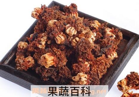 海参花的营养价值
